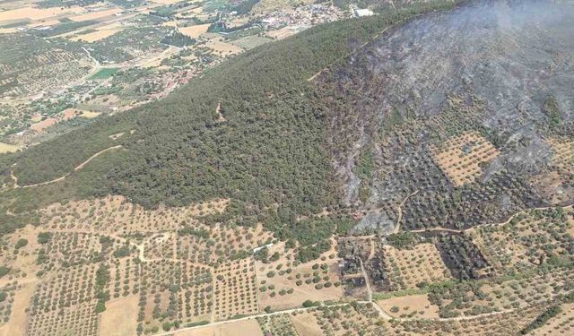 Ormanlık alanda çıkan yangın kontrol altında