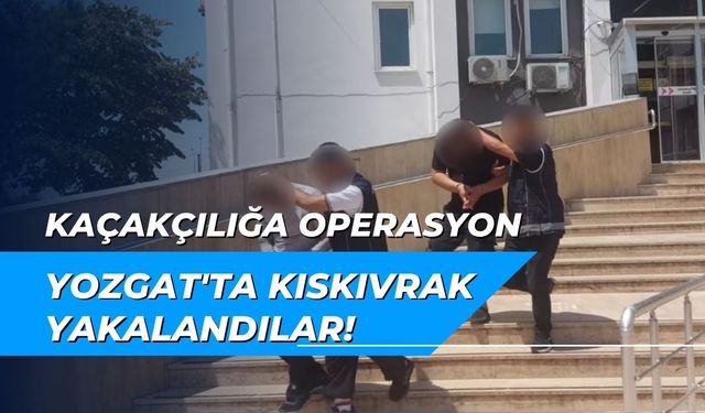 Kaçakçılığa operasyon... Yozgat'ta kıskıvrak yakalandılar!