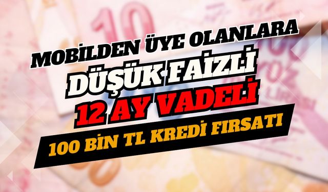 Mobilden üye olanlara düşük faizli 12 ay vadeli 100 bin TL kredi fırsatı