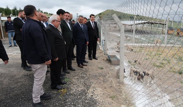 Vali Özkan Yerköy Hayvan Bakımevi’nde incelemelerde bulundu