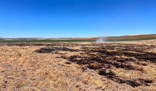 Yozgat'ta 10 dekar alanı yakan şahsa idari işlem süreci başlatıldı