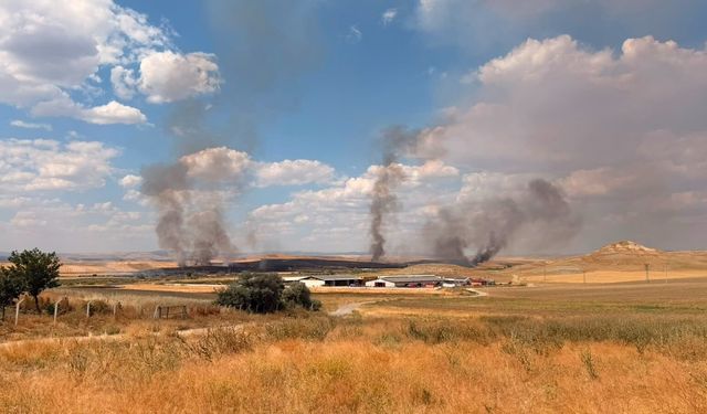 Yozgat’ta otluk alanda çıkan yangın tarım arazilerine sıçradı