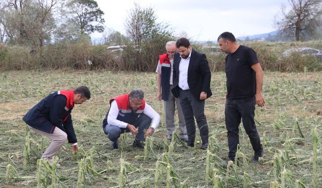 Dolu 40 bin dekar tarım arazisini vurdu