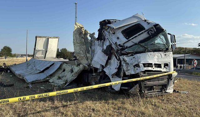 Üzüm yüklü tır devrildi, tonlarca üzüm yola saçıldı