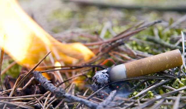 Yozgat Valiliğinden orman yangını uyarısı: Sigara izmariti ve cam şişeye dikkat