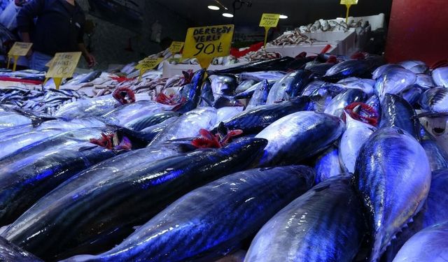 Palamut 90 TL’ye geriledi: Vatandaş tezgahlara akın etti