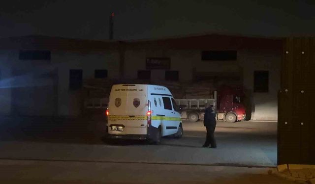 İş kazasında bir işçi hayatını kaybetti