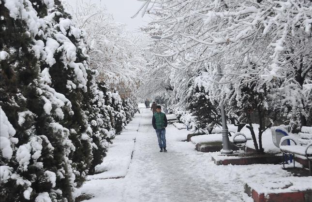 Kışın Yozgat'ta aman ha böyle sokağa çıkmayın: Yoksa şekli bozulabilir!
