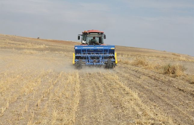 Yozgat'ta ekimi yapıldı: Karbon salınımını azaltıyor!