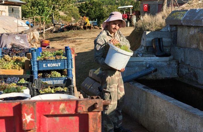 Yozgat'ta kış hazırlığı başladı: Pekmez kazanları kaynıyor