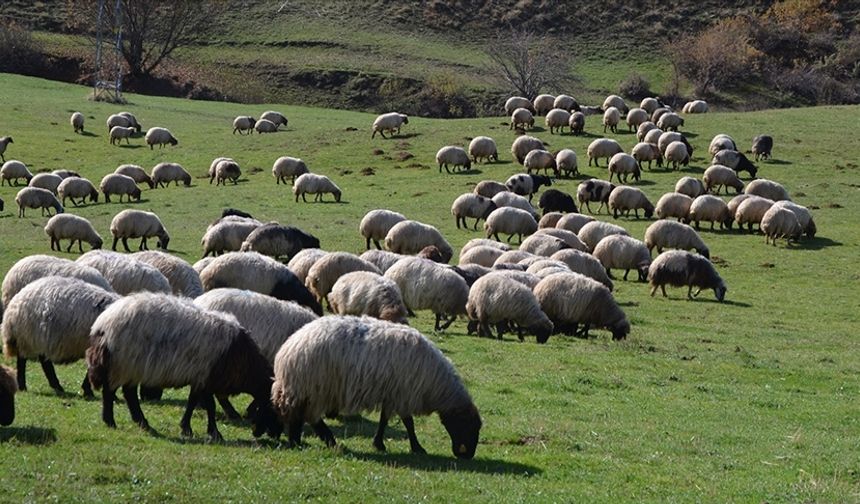 Bakan açıkladı: 8 yılda 400 milyon destek!