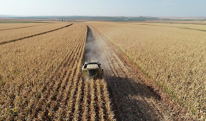 Kırıkkale, Çorum, Sivas, Tokat, Yozgatlı çiftçiler müjde! Destek ödemeleri yatırıldı
