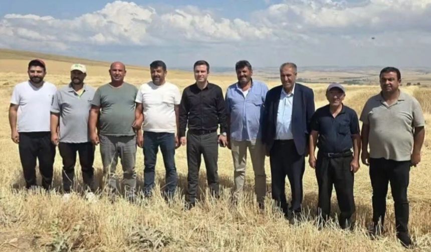 Sarıkaya hasat çalışmaları incelendi