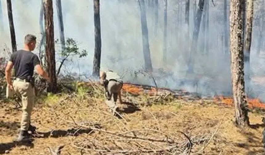 Sorgun'da hasat döneminde yangın uyarısı