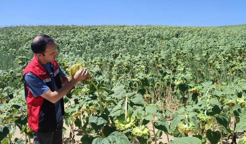 Yerköy'de kontroller sürüyor