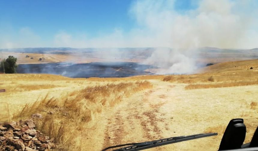 Yozgat’ta anız yangını: 300 dönüm arazi yandı