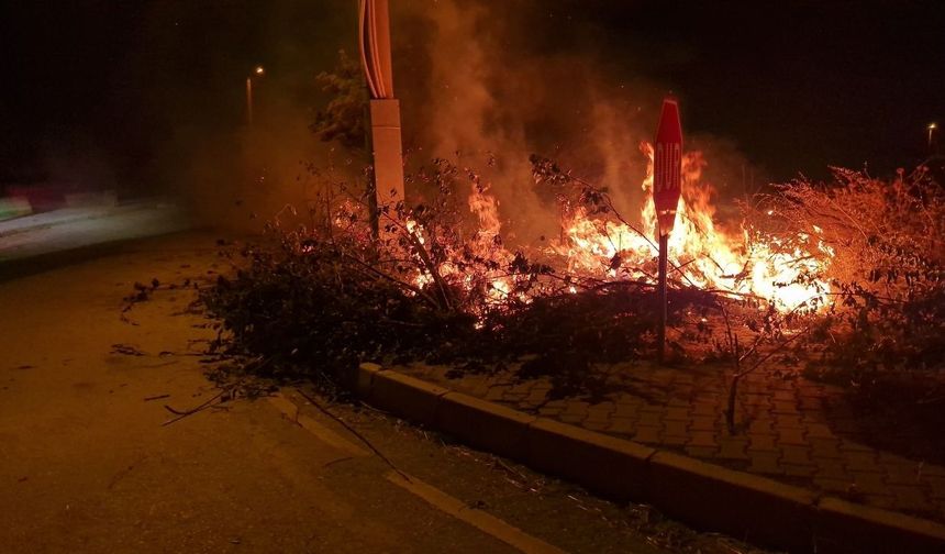 Alaca'da korkutan örtü yangını: İtfaiye alevleri yapılara sıçramadan söndürdü