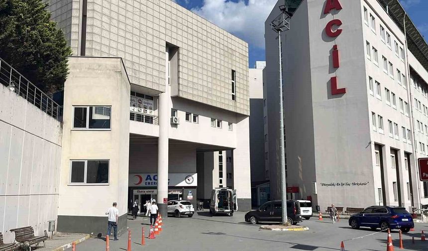 Piknikte Dehşet: Uzaklaştırma kararına rağmen eşine bıçaklı saldırı