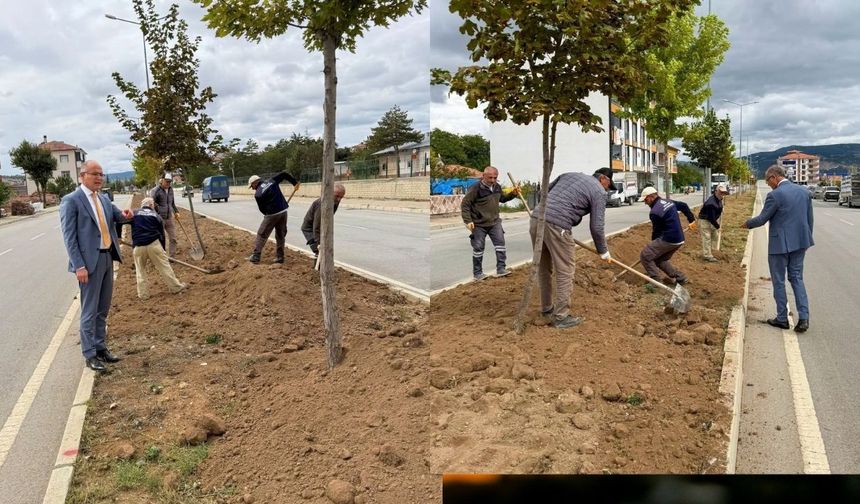 Çekerek'te peyzaj çalışması başlatıldı