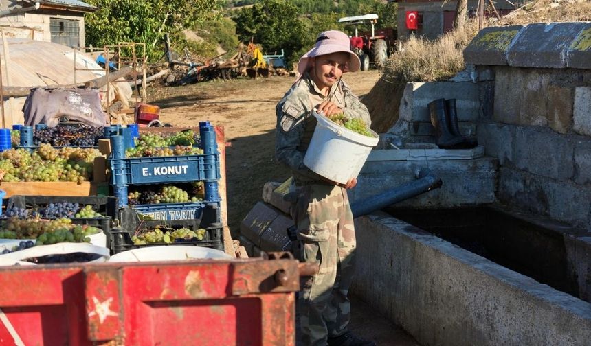 Yozgat'ta kış hazırlığı başladı: Pekmez kazanları kaynıyor
