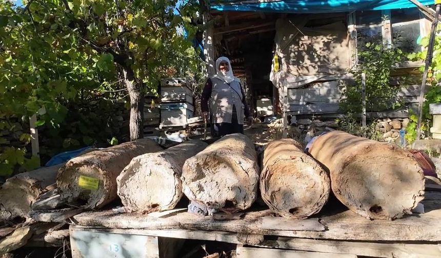 Yozgat'ta 85 yaşında karakovan balı üretiyor