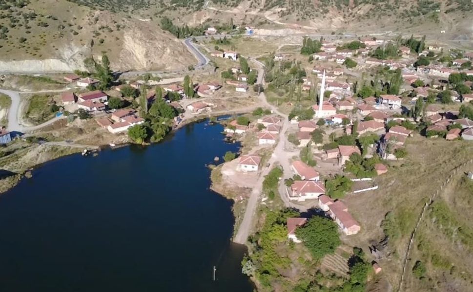 Yozgat'ta köy halkı endişeli! Yılanlar köyü bastı
