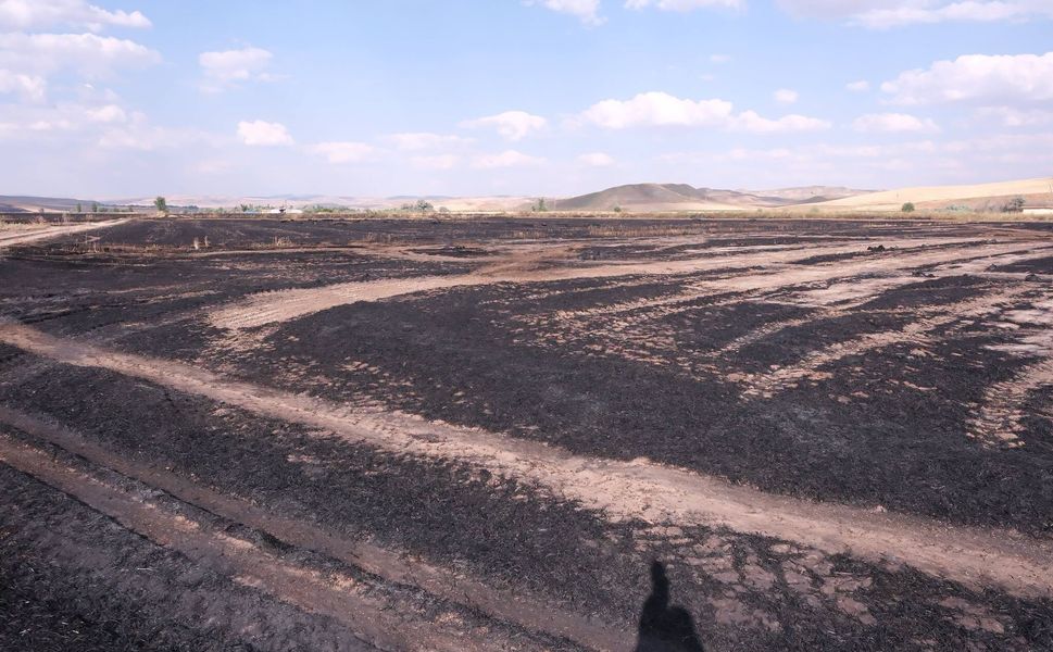 Yozgat'ta bin 500 dekar alan zarar gördü