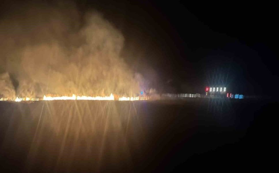Çiftçinin bir yıllık emeği yangında zarar gördü: 20 dönümlük alan kül oldu