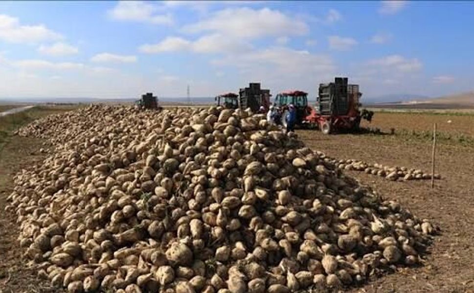 Kayseri Şeker'den çiftçiye 4 milyar avans