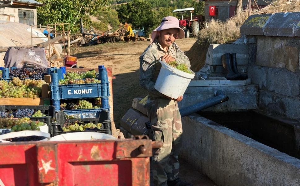 Yozgat'ta kış hazırlığı başladı: Pekmez kazanları kaynıyor