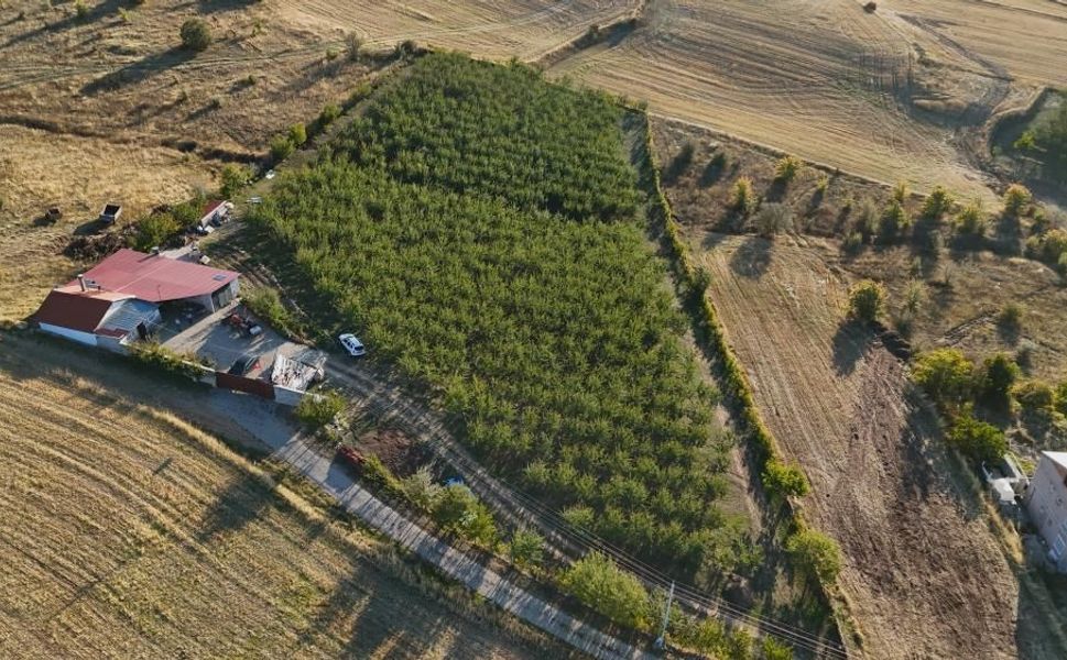 Almanya'da doktorun önerisini dinledi! Yozgat'ta üretici oldu
