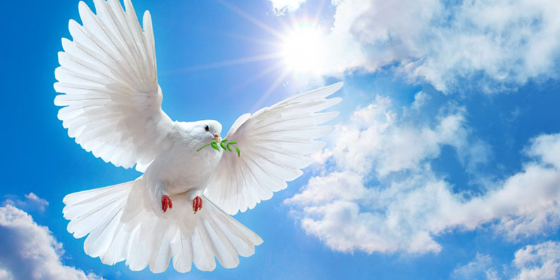 1 Eylül Dünya Barış Günü neden ve nasıl ortaya çıktı Dünya Barış Günü neden kutlanıyor (1)