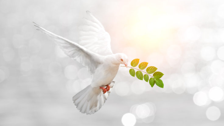1 Eylül Dünya Barış Günü neden ve nasıl ortaya çıktı Dünya Barış Günü neden kutlanıyor (3)