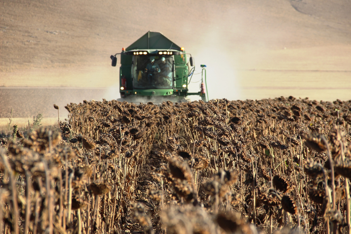 Tarım-GFE yıllık yüzde 41,33 arttı