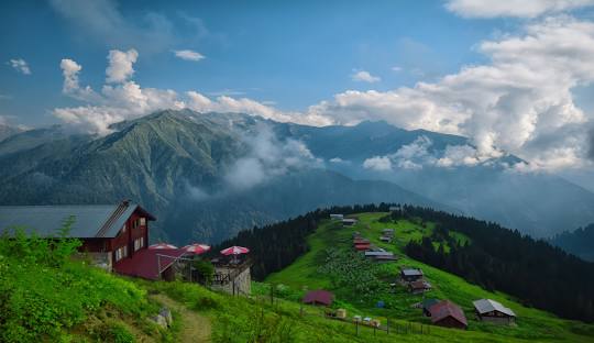 rize