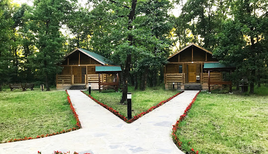 sakarya