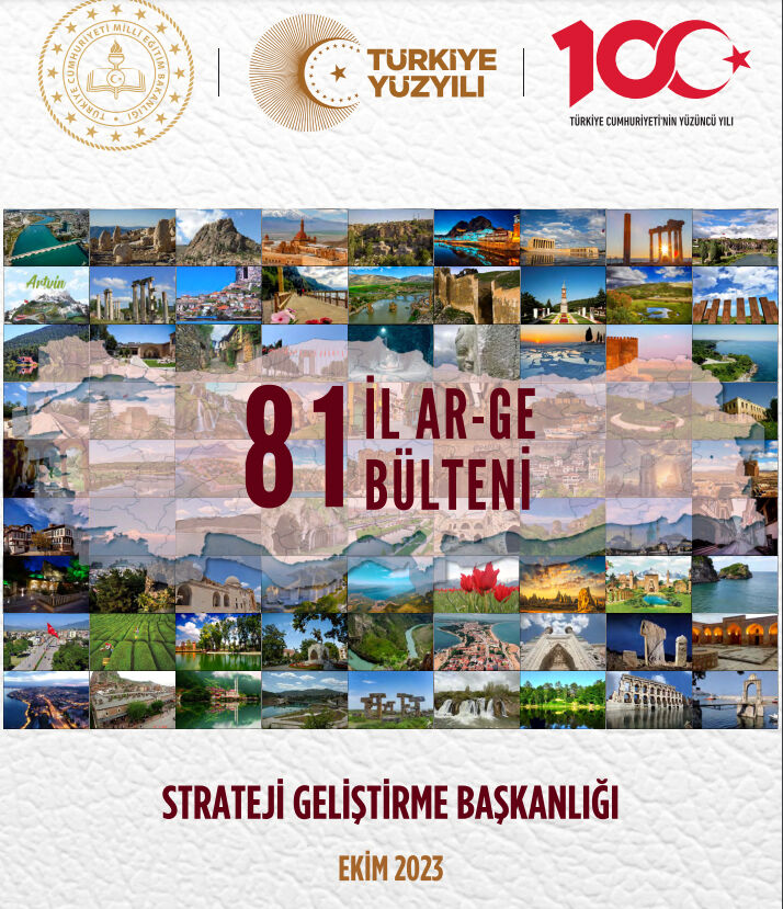 81 il AR-GE bülteni yayımlandı1