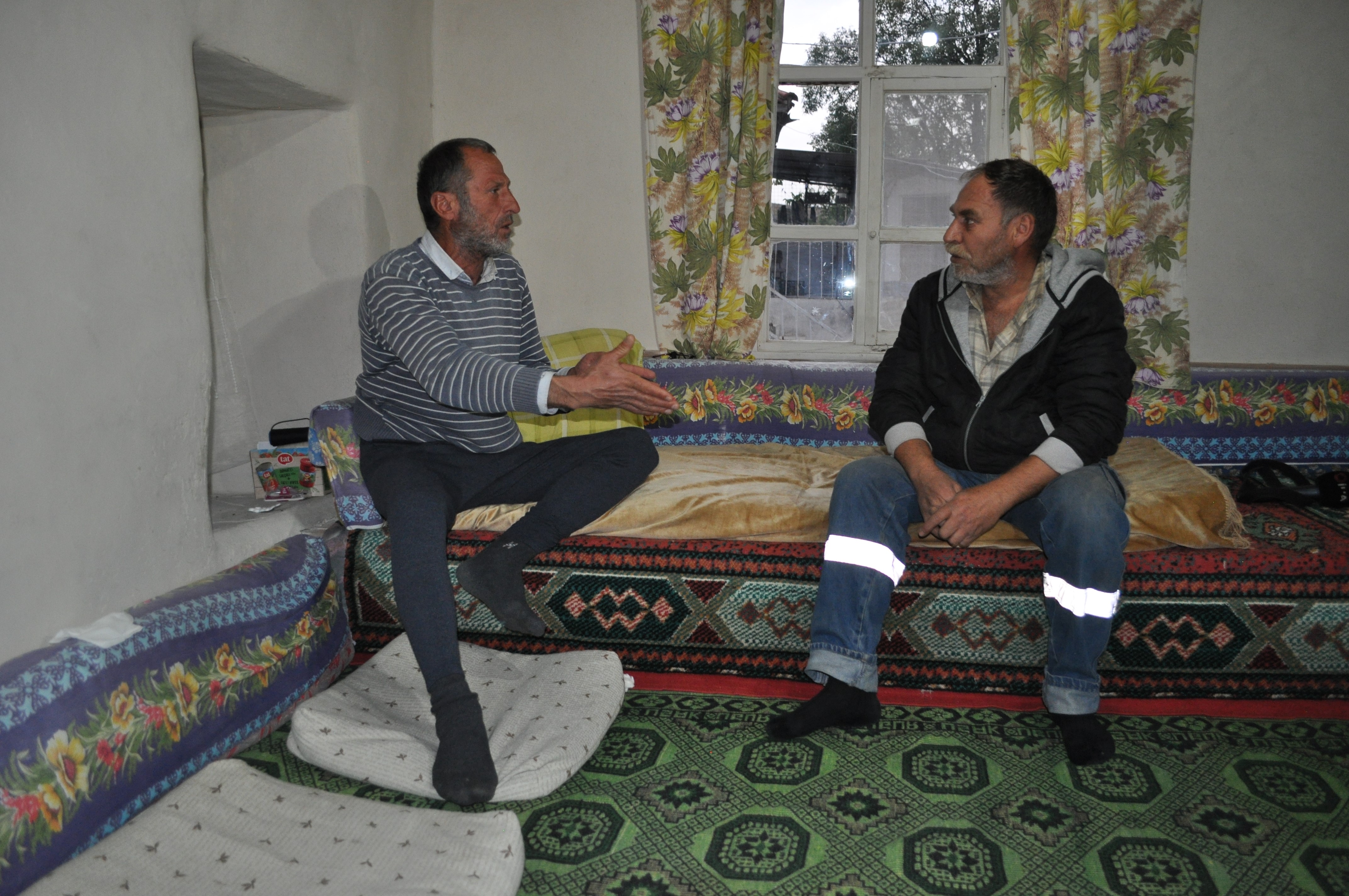 ayı saldırısı (1)