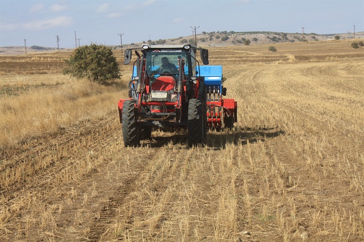 Toprak işlemesiz buğday ekimi