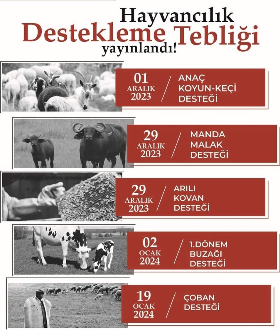 Yozgat, Tokat, Sivas, Kırıkkale, Kırşehirli çiftçiler aman kaçırmayın! Son başvuru tarihi yaklaşıyor.. (4)