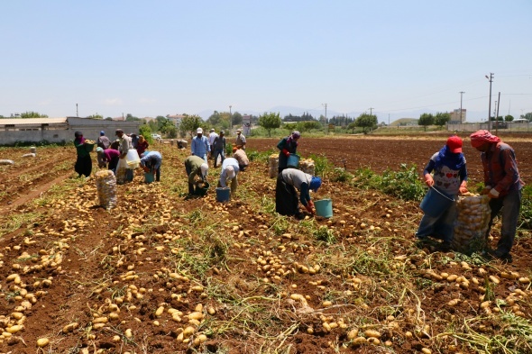 Resmi Gazete'de Yayımlandı Yozgat'taki Mevsimlik Tarım Işçileri Hakları Düzenlendi (5)