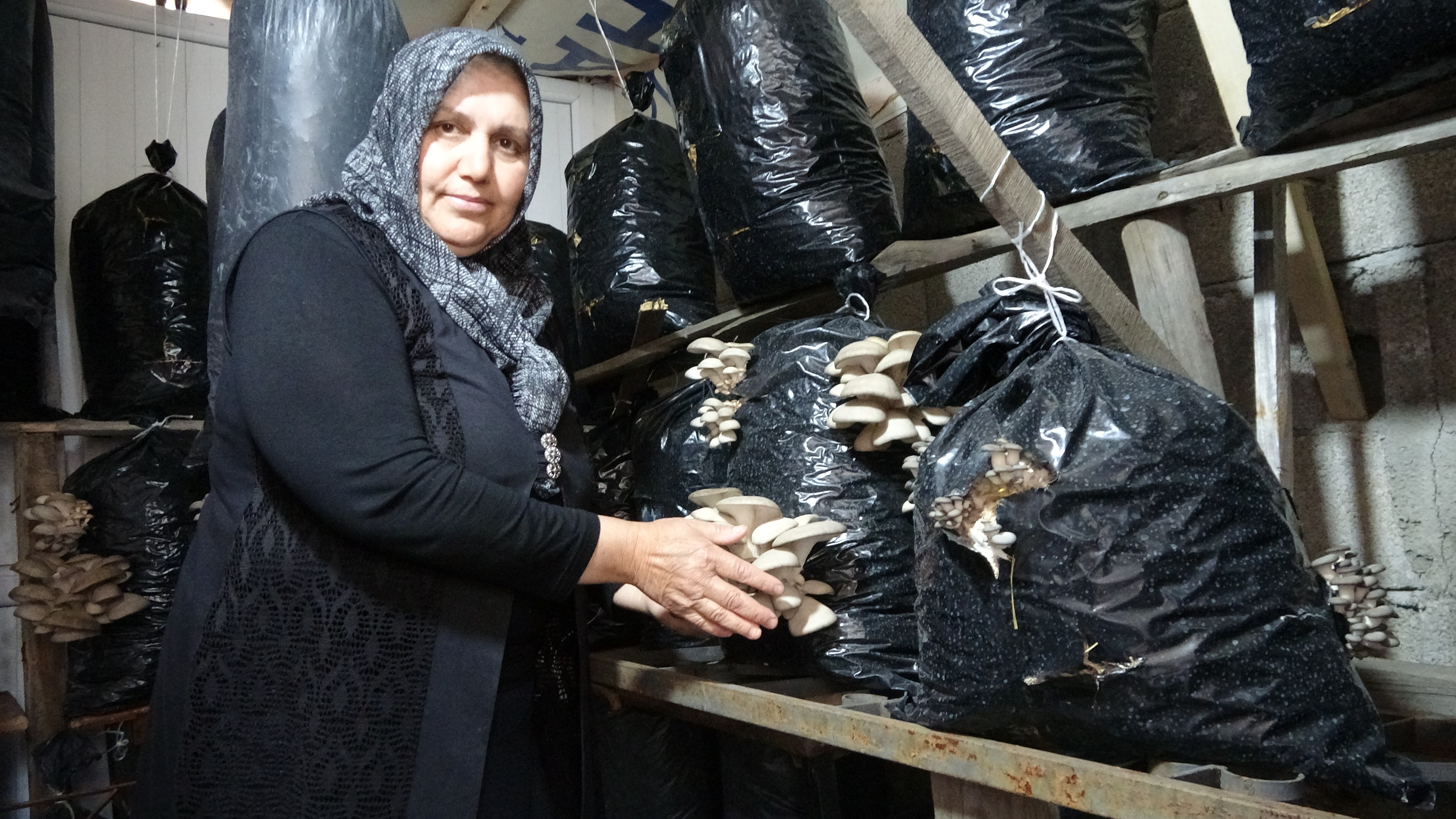 53 Yaşındaki Kadın Bebekleri Gibi Bakıyor Yozgat’ta 5 Metrekare Alanda Üretiyor (4)