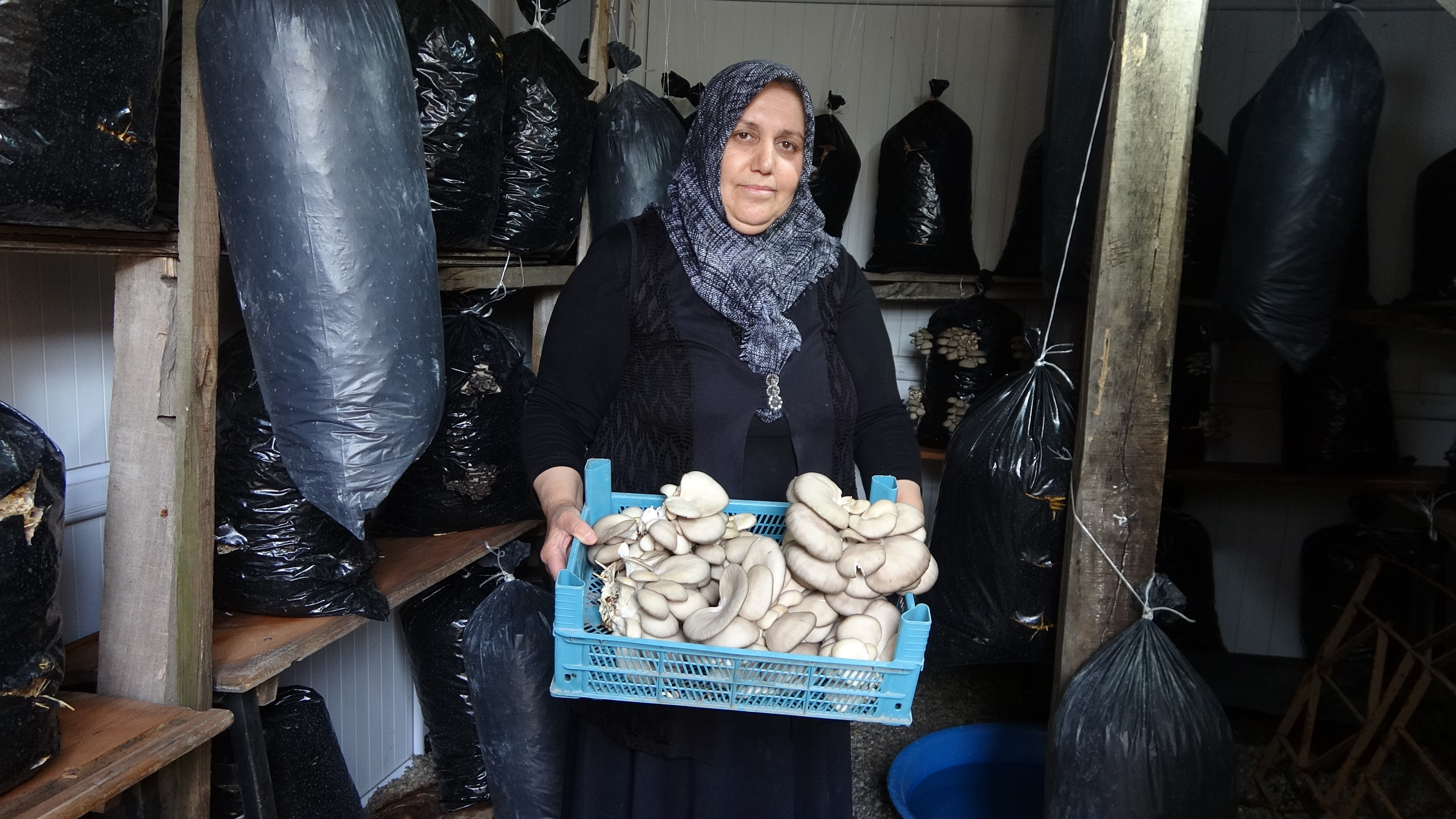 53 Yaşındaki Kadın Bebekleri Gibi Bakıyor Yozgat’ta 5 Metrekare Alanda Üretiyor (6)