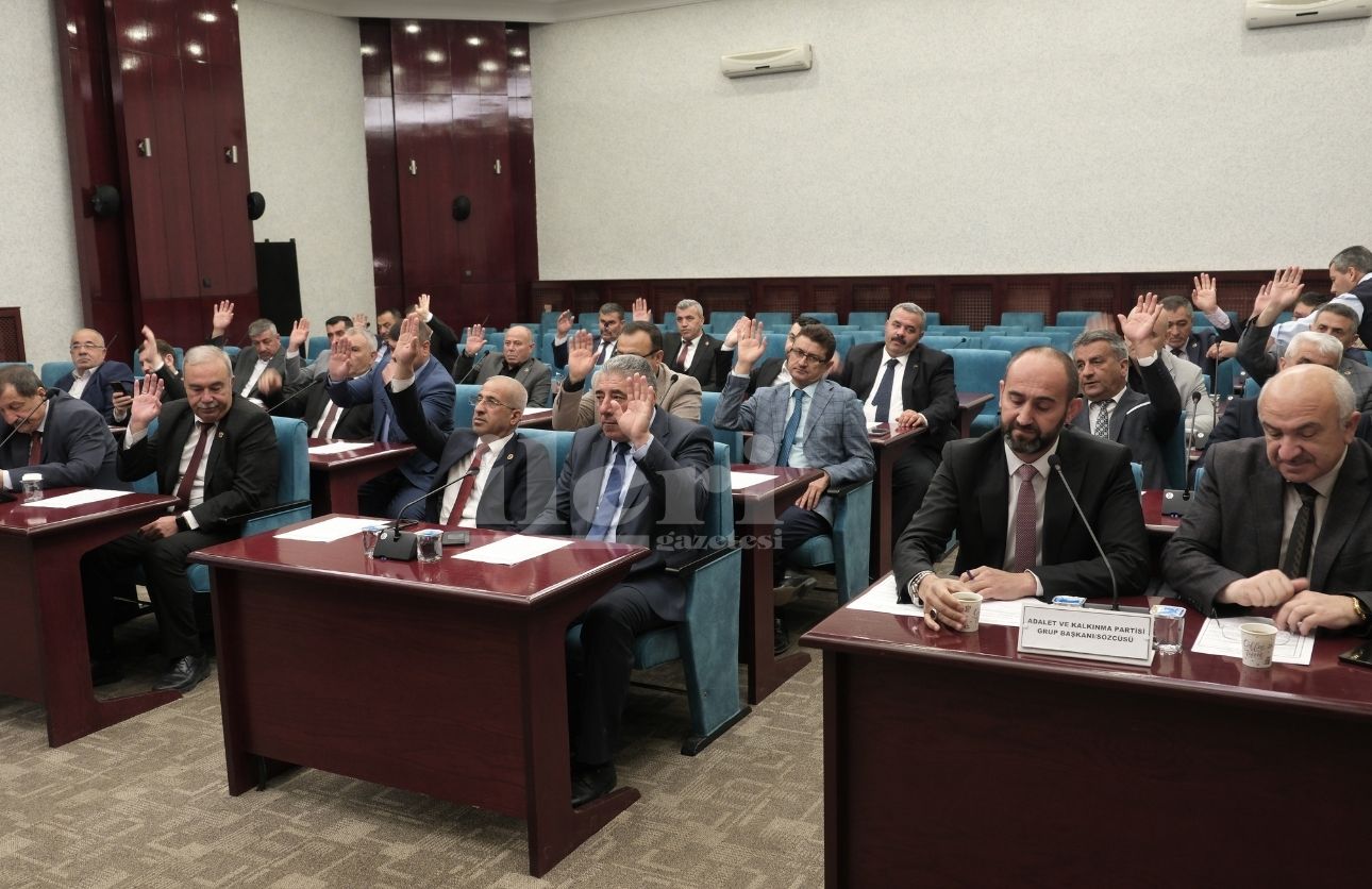 Meclis Toplantısı (1)