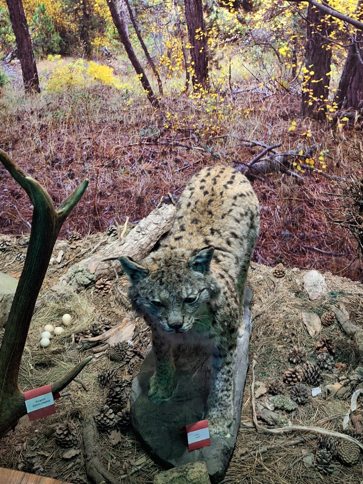 Öğrencilere Unutulmaz Deneyim9