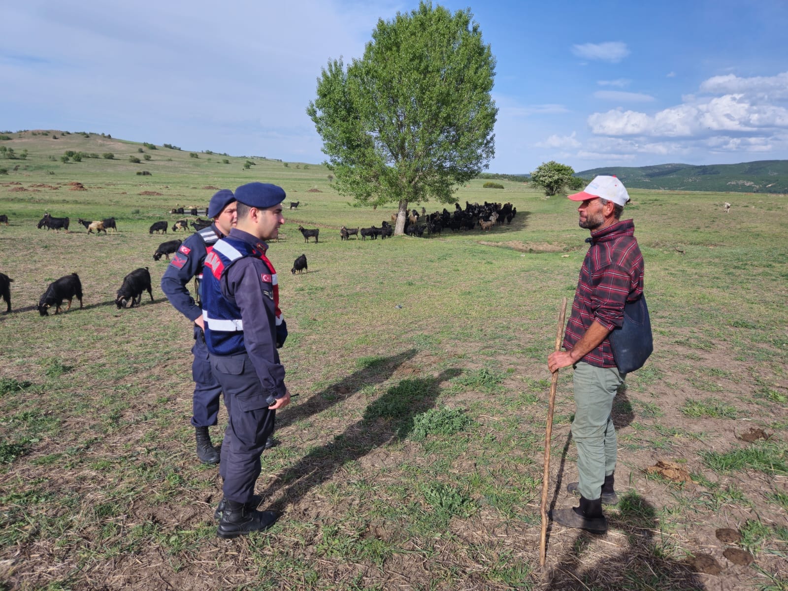 Hayvan Sahipleri Uyarıldı