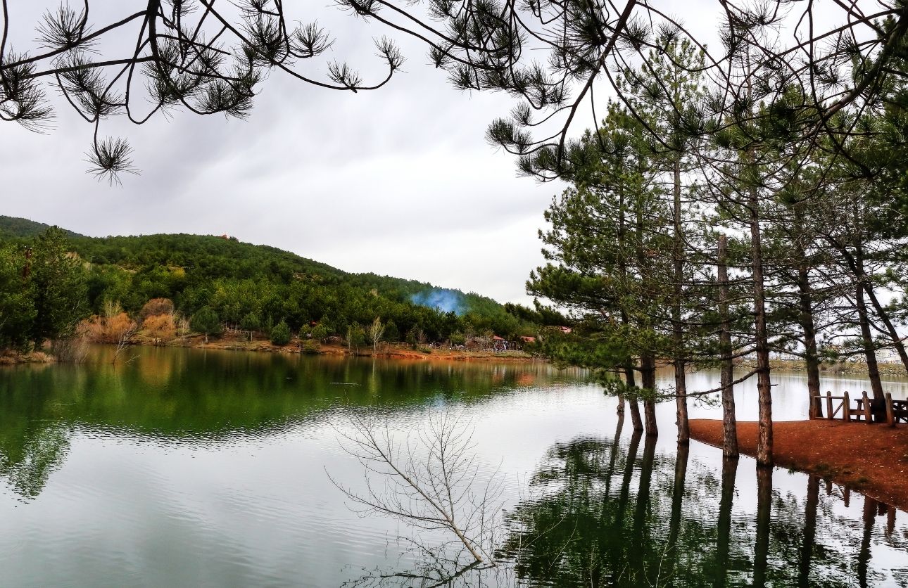 Karaçam Şifa Saçıyor (5)