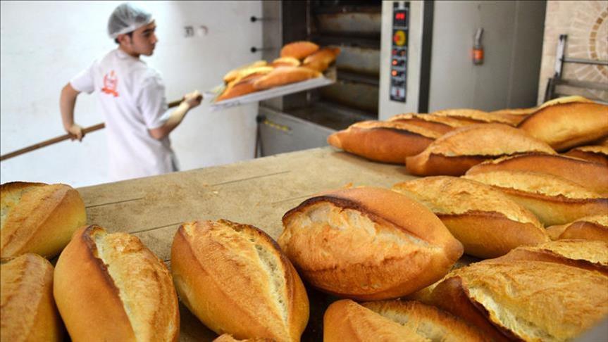 Buğday Fiyatları Ekmek (4)