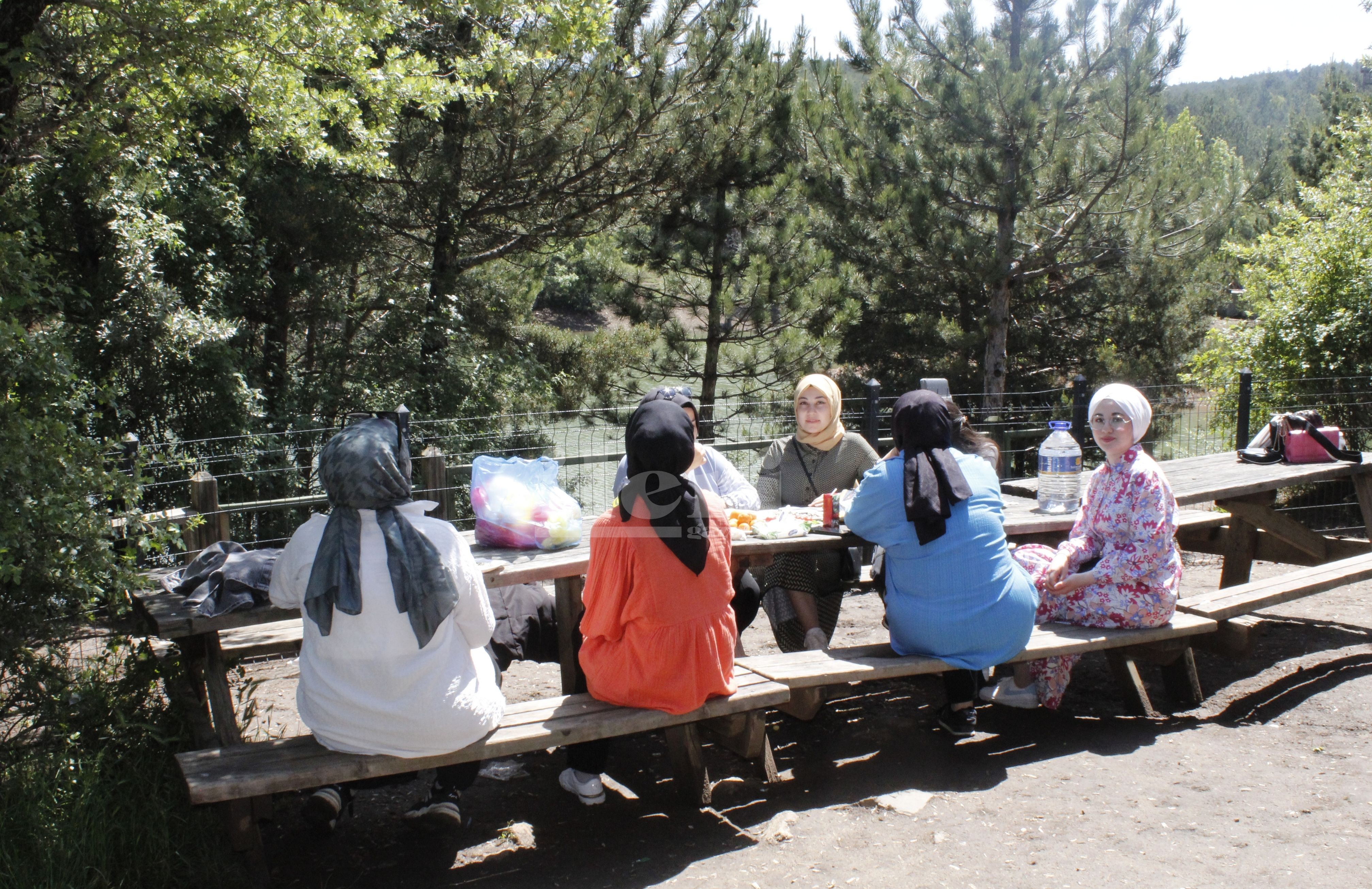 Çamlık Piknik (3)