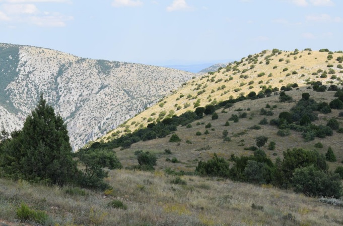 Dünyada Sadece Yozgat’ta Yetişiyor (10)